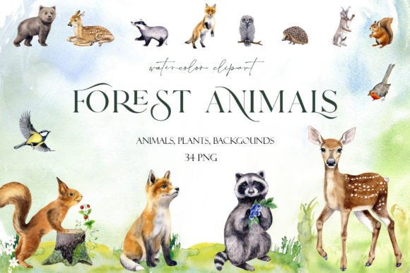 Download Watercolor Set Cute Woodland Animals Png - Cute woodland animals Collection